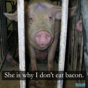 1 Bild sagt mehr als 1000 Worte