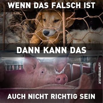RICHTIG-FALSCH