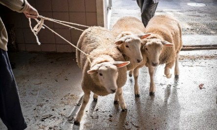 C19A2808-8CD5-4EA3-BEEC-2F8DCD263B1B